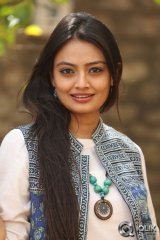 Nikitha Narayan at Ladies and Gentlemen Platinum Disc Function